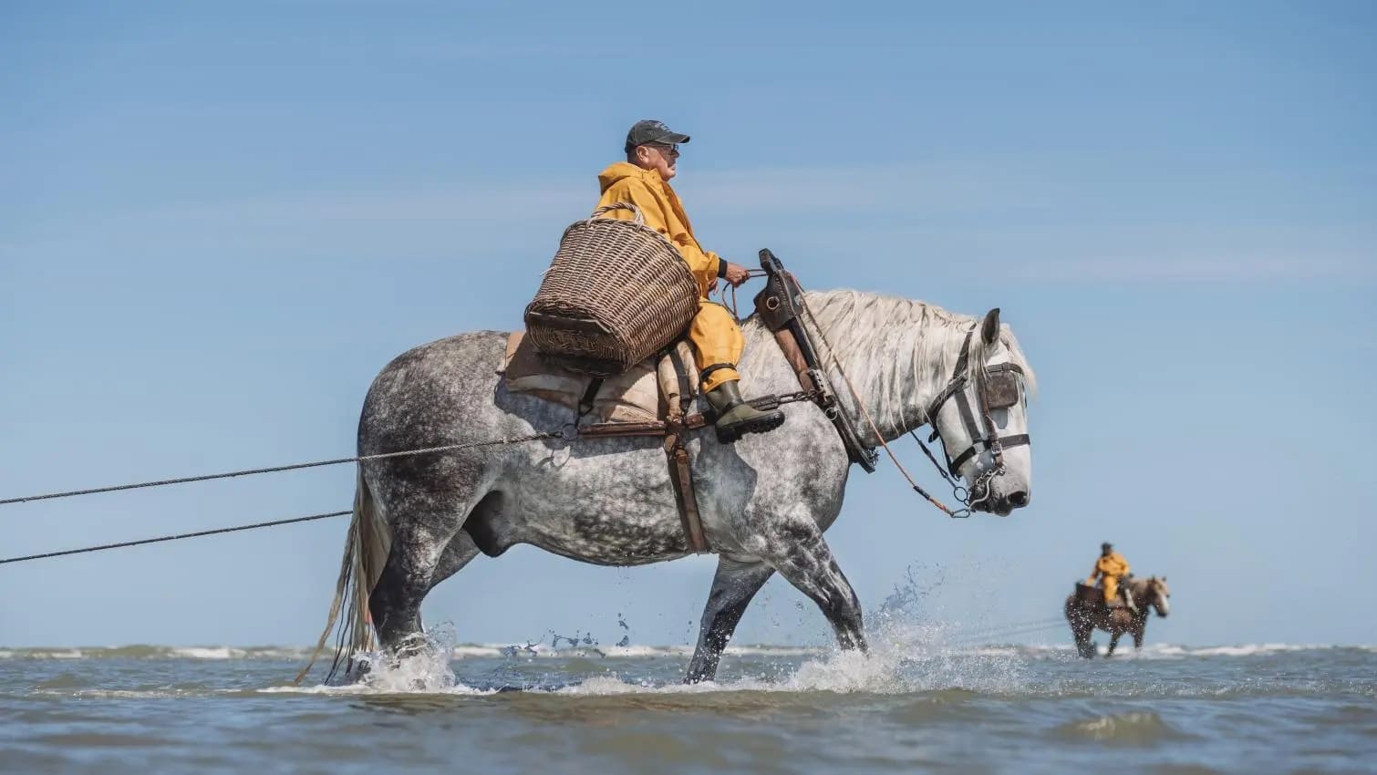 visser te paard